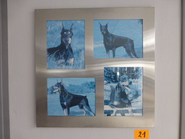 Fotokader 4x - afbeelding 1 van  1