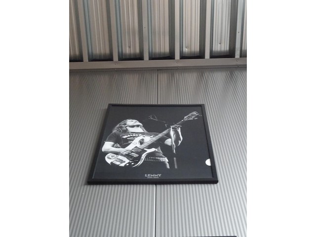 Fotokader lemmy - afbeelding 1 van  1