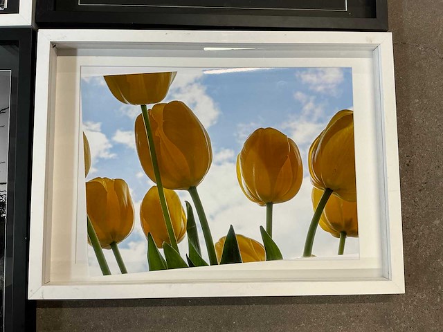 Fotokader met fotoprints (4x) - afbeelding 2 van  5