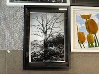 Fotokader met fotoprints (4x) - afbeelding 3 van  5
