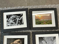 Fotokader met print (12x) - afbeelding 5 van  6