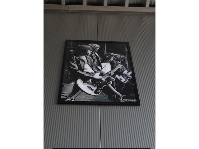 Fotokader the ramones - afbeelding 1 van  1