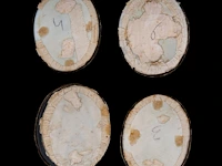 Four mughal portrait miniatures depicting mughal rulers, watercolour on ivory, 19thc, all 6,5 cm x 5,5 cm - weight (ivory only) ca. 6g (+) - afbeelding 2 van  4