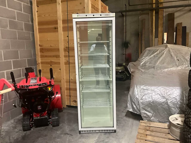 Frame ebm550815 framec – 560 l professionele glazen vriezer – grote capaciteit & xxl presentatie - afbeelding 2 van  6