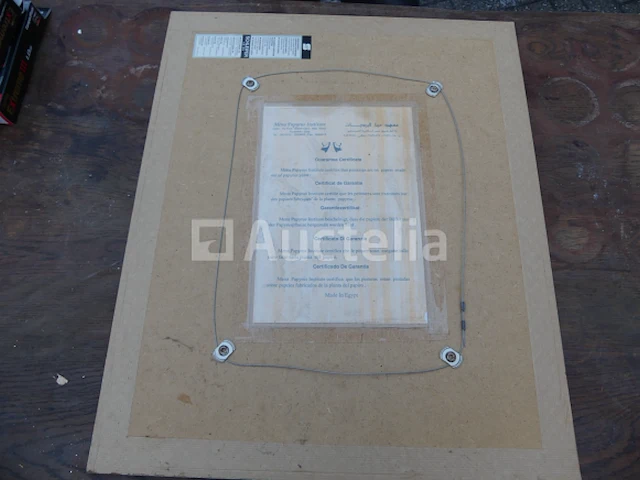 Frame met gecertificeerd papyrus (010871-005) - afbeelding 1 van  3