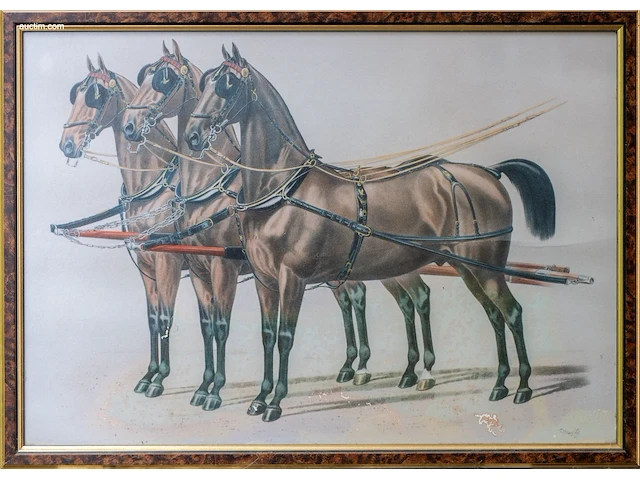 Framed vintage print van drie ingespannen paarden... - afbeelding 1 van  1