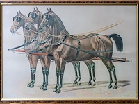 Framed vintage print van drie ingespannen paarden...