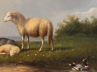 Frans van severdonck (1809-1889), sheep, a goat and chickens in a landscape, oil on panel 18 x 24 cm. (7.08 x 9.44 in.), frame: 43.5 x 49 cm. (17.12 x 19.28 in.) - afbeelding 6 van  6