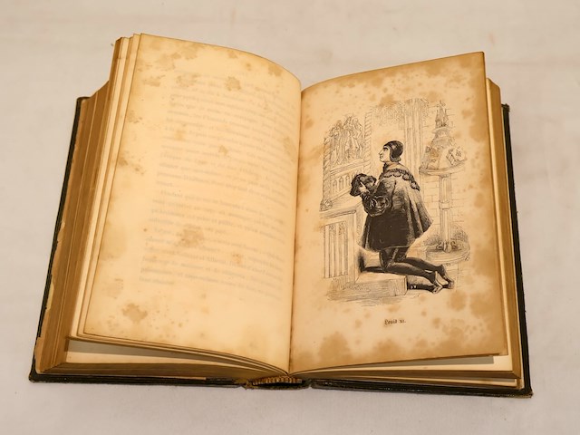 Franse literatuur (x2) - afbeelding 8 van  20
