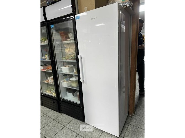 Friac diepvries - afbeelding 1 van  4