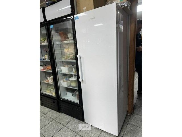 Friac diepvries - afbeelding 2 van  4