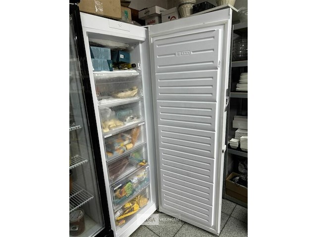 Friac diepvries - afbeelding 3 van  4