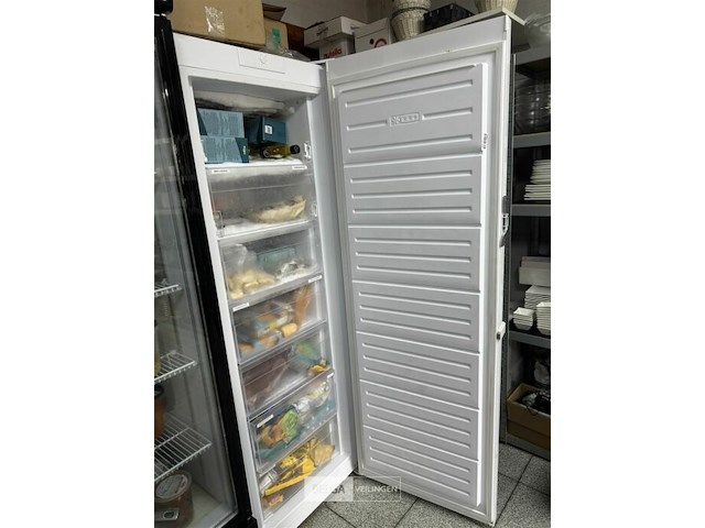 Friac diepvries - afbeelding 4 van  4