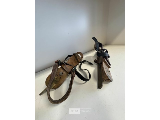 Friese doorlopers (schaatsen) - afbeelding 3 van  3