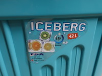 Frigobox eda (42liter, ongebruikt) - afbeelding 3 van  5