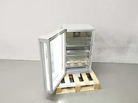 Frigoglas - redbull - gekoelde tentoonstelling - afbeelding 1 van  3