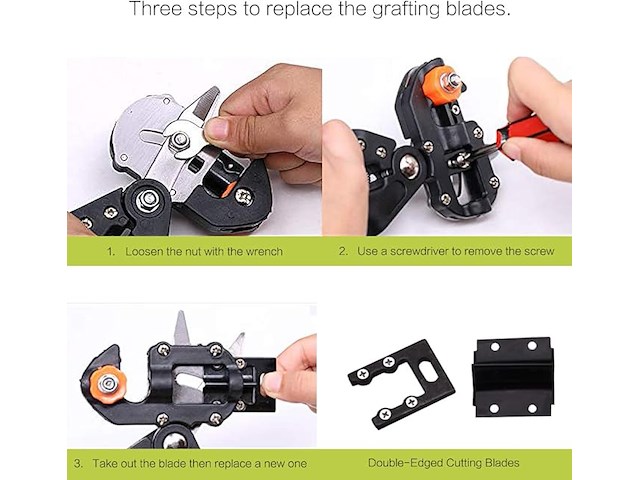 Fruitboom, entschaar - afbeelding 2 van  7