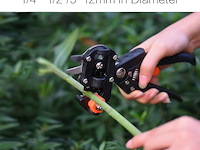 Fruitboom, entschaar - afbeelding 5 van  7