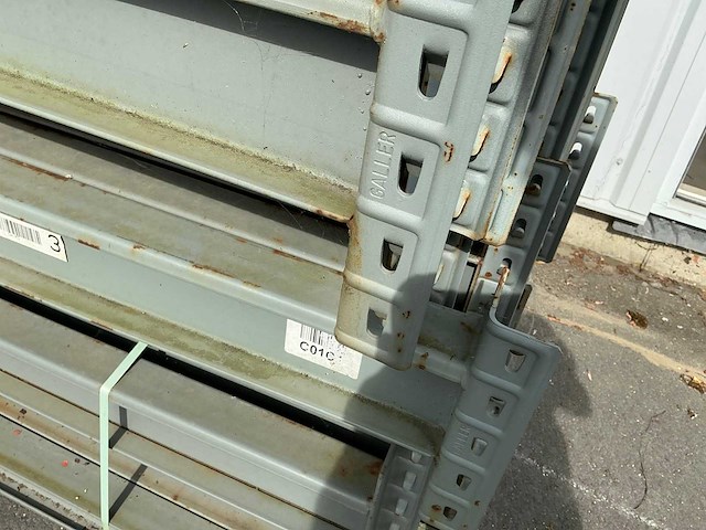 Galler liggers (46x) - afbeelding 6 van  6