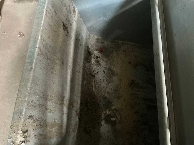 Galva gedragen kipbak - afbeelding 4 van  4