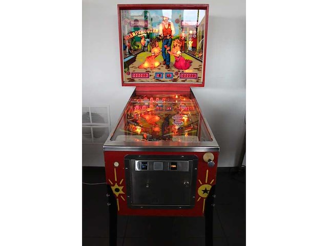 Gameplan - sharpshooter - flipperkast - afbeelding 2 van  7