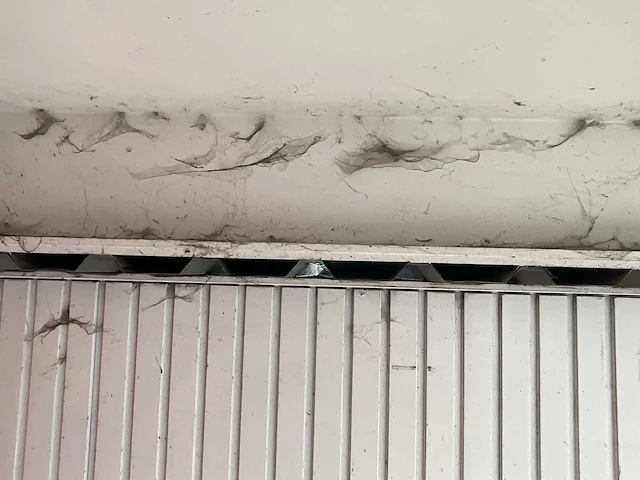Garagebox - afbeelding 7 van  8