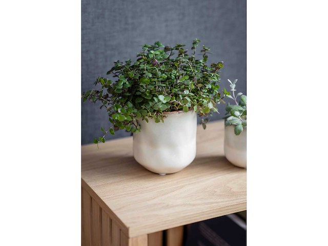 Garden trading - bloempotjes, tandenborstelhouders, zeepbakjes, zeeppompjes, kaarsen (30 stuks) - afbeelding 5 van  8