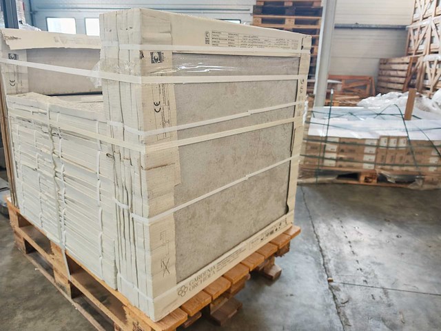 Gardenia amboise calce mat 80x80 cm tegel 44,16 m² - afbeelding 3 van  8