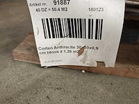 Gardenia corten antraciet mat 30x60 cm tegel 13,86 m² - afbeelding 7 van  8