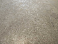 Gardenia corten antraciet mat 30x60 cm tegel 13,86 m² - afbeelding 6 van  8