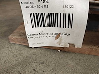 Gardenia corten antraciet mat 30x60 cm tegel 13,86 m² - afbeelding 7 van  8