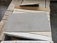 Gardenia corten grigio mat 30x60 cm tegel 25,2 m²