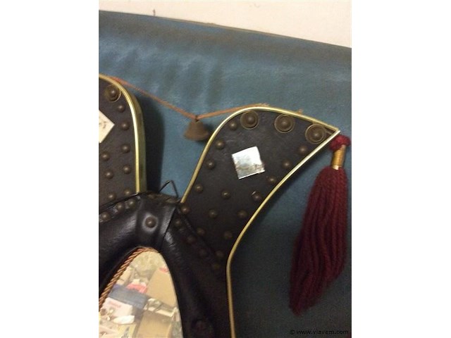 Gareelspiegel/skai - afbeelding 2 van  2