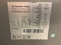 Gastro cool koel/vries gcuc300sd koelvitrine - afbeelding 6 van  7