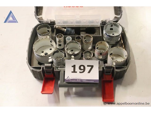 Gatenzaaglot - bosch - diverse maten - afbeelding 1 van  3