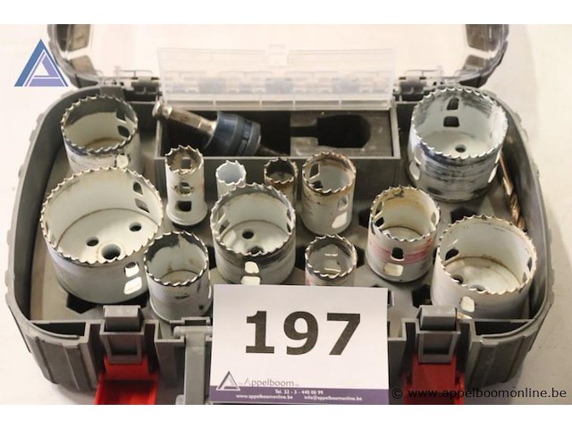 Gatenzaaglot - bosch - diverse maten - afbeelding 2 van  3