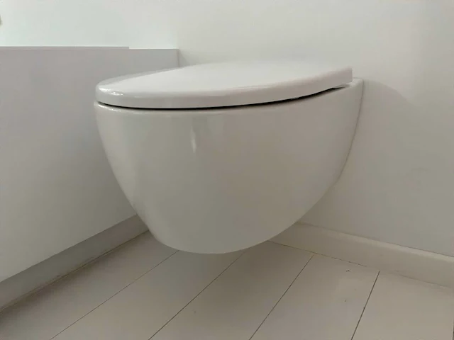 Geberit hangtoilet - afbeelding 1 van  6