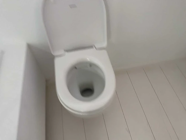Geberit hangtoilet - afbeelding 5 van  6