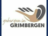 Gemeente grimbergen