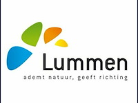 Gemeente lummen
