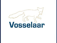 Gemeente vosselaar
