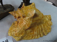 Gemengd lot - afbeelding 5 van  5