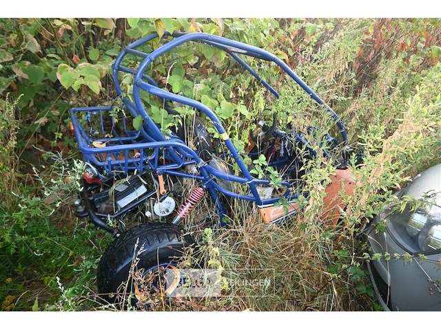 Gemotoriseerde buggy - afbeelding 1 van  7