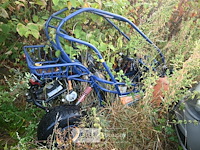 Gemotoriseerde buggy