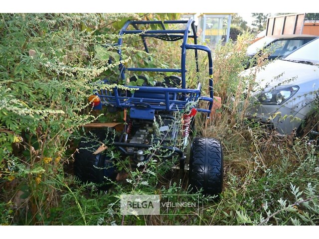 Gemotoriseerde buggy - afbeelding 2 van  7