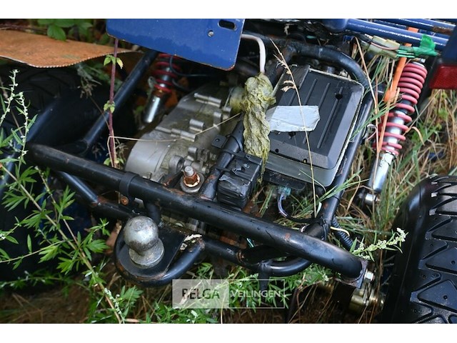Gemotoriseerde buggy - afbeelding 3 van  7