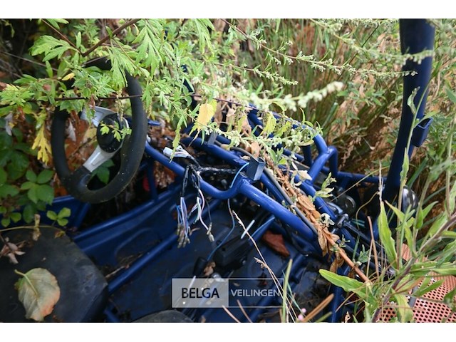 Gemotoriseerde buggy - afbeelding 6 van  7