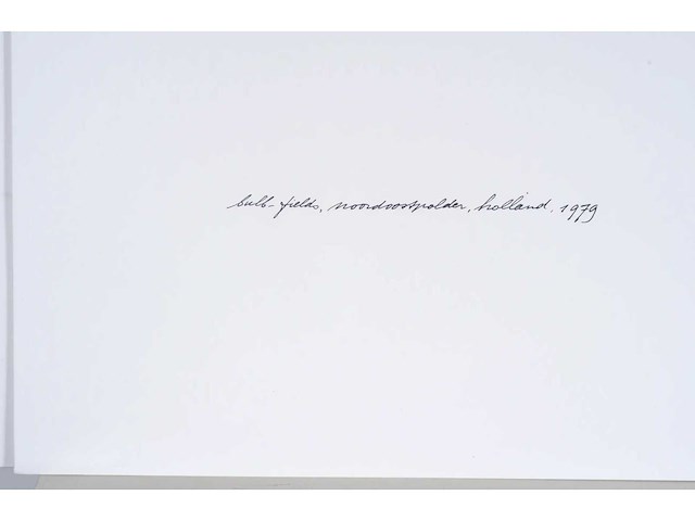 Ger dekkers -bulb-fields, noordoostpolder, holland - offset - 1979 - lage instel - afbeelding 3 van  6