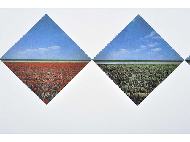 Ger dekkers -bulb-fields, noordoostpolder, holland - offset - 1979 - lage instel - afbeelding 4 van  6