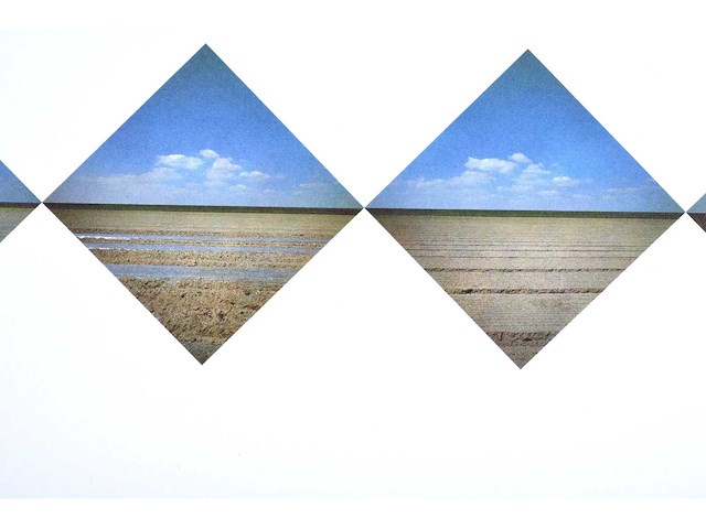 Ger dekkers -bulb-fields, noordoostpolder, holland - offset - 1979 - lage instel - afbeelding 5 van  6